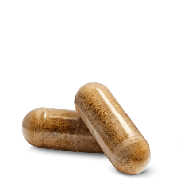 Nutrilite™ Cycle Support - Image 3
