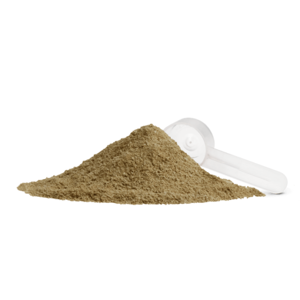 Nutrilite Begin™ Daily GI Primer - Image 2